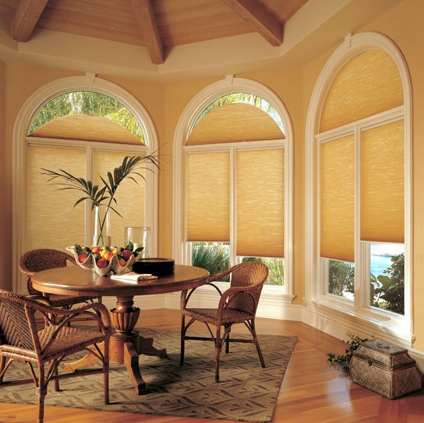 Duette honeycomb shades